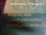 BIOGRAFIA UNUI CONCEPT PSIHANALITIC : IDENTIFICAREA PROIECTIVA - BORASANU