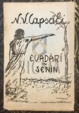 EVADARI IN SENIN