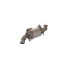 Filtru particule VW CRAFTER 30-50 platou sasiu 2F BM CATALYSTS BM11029P, Volkswagen