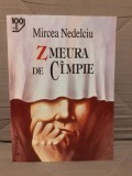 ZMEURA DE CAMPIE-MIRCEA NEDELCIU EDITURA GRAMAR 100+1 CAPODOPERE ALE ROMANULUI ROMANESC