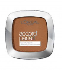 Pudra compacta Loreal Accord Parfait 10D/10W Deep Golden foto