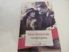 Neintelegerea - Irene Nemirovsky foto