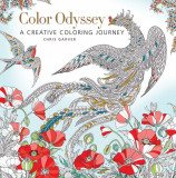Color Odyssey | Chris Garver