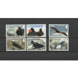 ASCENSION 2013 FAUNA PASARI