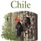 Field Guide to the Birds of Chile
