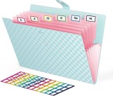 Set organizator cu 7 buzunare acordeon si 48 etichete Abc, plastic/hartie, albastru, 32,5 x 24,3 cm