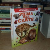 PRIMA MEA CARTE : ANIMALE SALBATICE , ILUSTRATII , 2016 ( FABRICAT IN UCRAINA ) *