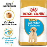 Royal Canin Labrador Puppy hrană uscată c&acirc;ine junior, 1kg