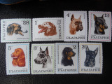 Bulgaria-Fauna ,rase de caini-serie completa,nestampilate MNH, Nestampilat