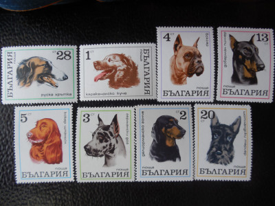 Bulgaria-Fauna ,rase de caini-serie completa,nestampilate MNH foto