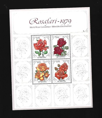 rsa flori mnh foto