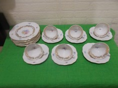 SET pentru CAFEA si DESERT din portelan Bavaria BAREUTHER WALDSASSEN , decorat cu flori