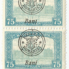 Romania, Emisiunile Oradea, LP 7b/1918, pereche, Ban!, eroare, MNH