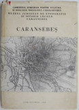 Caransebes (Contributii istorice) &ndash; Petru Bona