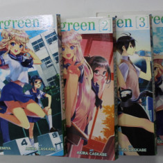 EVERGREEN , VOLUMES 1 - 4 , story by YUYUKO TAKEMIYA , art AKIRA CASKABE , 2016, BENZI DESENATE *