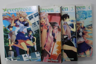 EVERGREEN , VOLUMES 1 - 4 , story by YUYUKO TAKEMIYA , art AKIRA CASKABE , 2016, BENZI DESENATE * foto