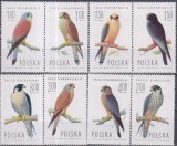 Timbre cu șoimi și vulturi din Polonia