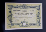 Actiune 1930 Banca ALBINA / titlu de 5 actiuni / Institut de credit