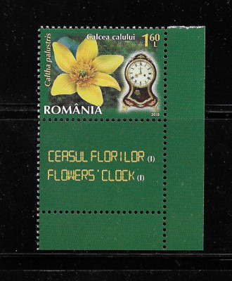 ROMANIA 2013 - CEASUL FLORILOR I - VINIETA 1 DIN COALA DE POSTA - LP 1966 foto