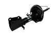 Amortizor RENAULT KANGOO Express (FW0/1) (2008 - 2016) Magnum Technology AGR136MT
