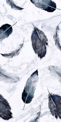 Husa Personalizata XIAOMI Pocophone F1 Feathers foto