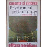 PEISAJ NATURAL, PEISAJ UMAN-AMELIA PAVEL-228526