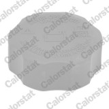 CALORSTAT by Vernet RC0190 buson vas expansiune