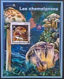 Ciuperci - Republica Centrafricană 2017 - Coliță Poștală Boletus pinophilus Les champignons (Ștampilată / CTO) CP1_II