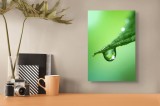 Tablou Canvas, "Picătură de rouă pe frunză verde", Verde, Frunză, Picătură, Natură, Prospețime, 26 x 39 cm, CMCLASS
