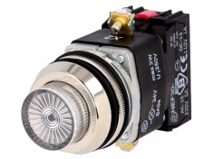 Comutator Acționat prin Apăsare 30mm 1NC 1NO 24VDC