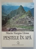 PESTELE IN APA de MARIO VARGAS LLOSA , 1995