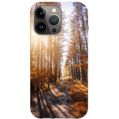 Husa compatibila cu Apple iPhone 13 Pro Max model Forest Path, Silicon, TPU, Viceversa foto