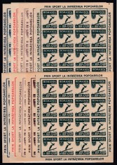 ROMANIA 1946 LP 199 a ORGANIZATIA SPORTULUI POPULAR IN COLI MICI DE 16 MNH