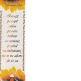 Semn de carte Invata pe copil calea pe care trebuie s-o urmeze si cand va imbatrani, nu se va abate de la ea