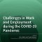 Challenges in Work and Employment during the COVID-19 Pandemic