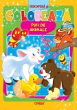 Puii de animale (Descopera si coloreaza). Bestseller. Editia a 4-a