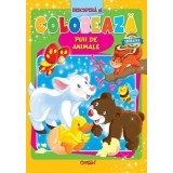 Puii de animale (Descopera si coloreaza). Bestseller. Editia a 4-a