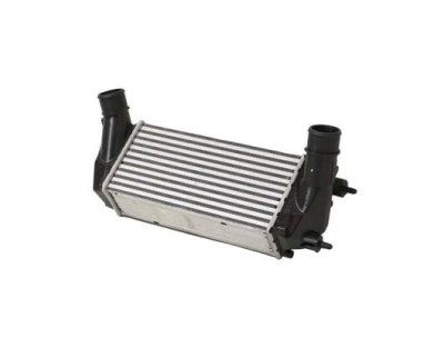 Intercooler Ford B-MAX, 10.2012-, C-Max/C-Max Grand, 10.2012-, motor 1.0 Ecoboost, benzina, cu/fara AC, aluminiu brazat/plastic, 300x147x80 mm, SRLin foto