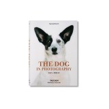 The Dog in Photography 1839-Today