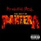 Pantera Reinventing The Hell The Best Of (cd)