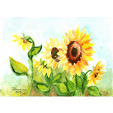 E102. Tablou original, Floarea-Soarelui, acuarela pe hartie, neinramat, 21x29 cm