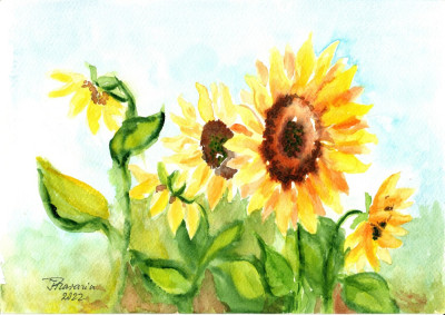 E102. Tablou original, Floarea-Soarelui, acuarela pe hartie, neinramat, 21x29 cm foto