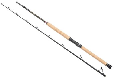 Lanseta Penn Regiment III Boat Rod 702, 12-20lbs, 2.13m, 2seg foto