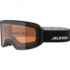 Ochelari Alpina Arris black matt QH foto