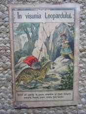 IN VISUNIA LEOPARDULUI foto