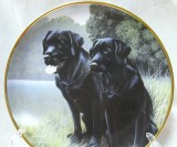 FARFURIE DECORATIVA PORTELAN ENGLEZESC FRANKLIN MINT EDITIE LIMITATA DECOR CAINI VANATOARE LABRADOR RETRIEVER 21 CM