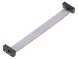 Cablu panglică SAMTEC IDC 76,2mm FFSD-06-D-03.00-01-N cu conectori IDC ambele părți