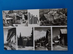 CPIB 23344 CARTE POSTALA - PALTINIS, MOZAIC, CIRCULATA, 1969, STAMPILE, TIMBRE