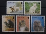 Jersey 1994 Pisici de rasa , animale fauna serie 5v neștampilat