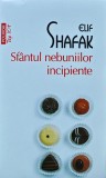 Sfantul nebuniilor incipiente - 2017 - Elif Shafak (XB262)